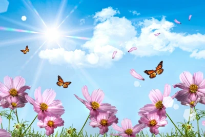 Sabah 35 dərəcə isti olacaq - PROQNOZ