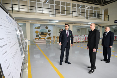Prezident Sabirabadda toxum istehsalı müəssisəsinin fəaliyyəti ilə tanış olub
