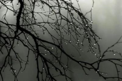 Şənbə günü çiskinli yağış yağacaq