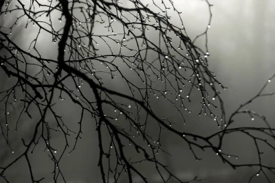 Sabah bəzi yerlərdə çiskin olacaq - PROQNOZ