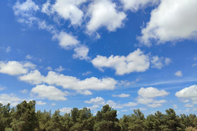 Bazar gününün havası açıqlanıb