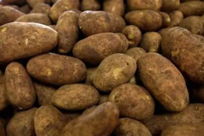 Bazarlarda təhlükəli kartof satılır? - ARAŞDIRMA