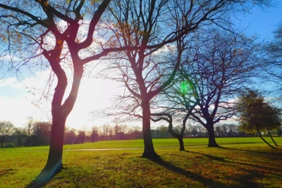 Sabah havanın temperaturu 18 dərəcəyədək yüksələcək - PROQNOZ