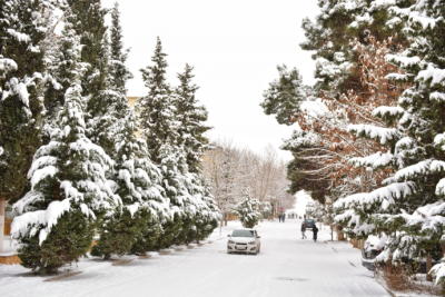 Dağlıq ərazilərdə qar yağacaq