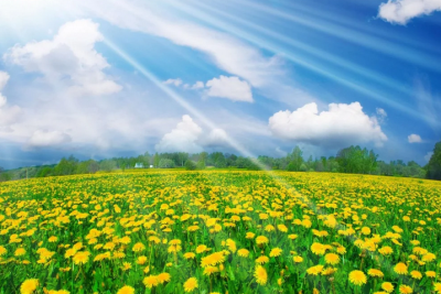 Sabahın havası açıqlanıb