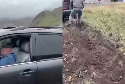 Ata kartof yığımı üçün övladını "Lexus"un sükanı arxasına keçirib - VİDEO