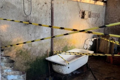 Lənkəranda toyuq kəsimi sexinin fəaliyyəti dayandırılıb